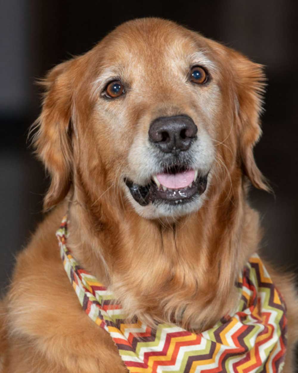 Benson