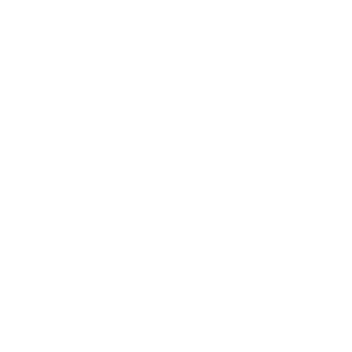 gps ()